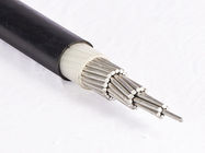 Duplex Conductor 1.5sqmm XLPE LV Power Cable For Construction