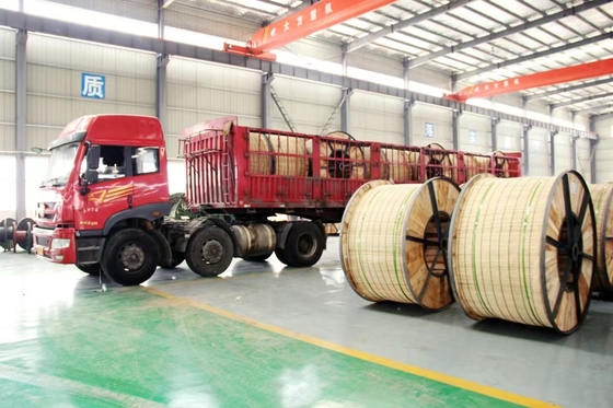 Bare Aluminium Conductor Cable Aluminum Conductor Steel Reinforced ACSR
