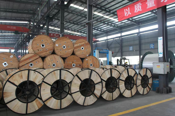 ACSR Aluminium Conductor Steel Reinforced For Overhead Lines