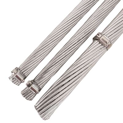 AACSR Aluminum Alloy Conductor Aluminum Clad Steel Reinforced for Long Span Applications