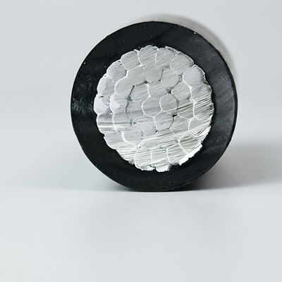JKLYJ Aluminum Conductor XLPE Insulated Polyvinyl Jacket 1 KV Weather Resistant Overhead Cable for Rural Power Grid Renovation