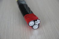 All Aluminum Conductor 2*16  Xlpe Insulated Power Cable Abc Cable