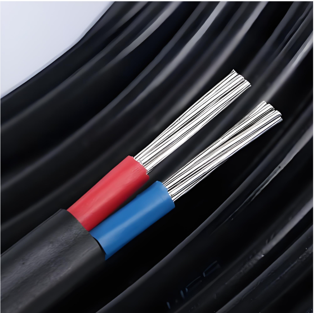 Two-core Copper XLPE Insulated Low Voltage Cable IP67 Rated 0.6/1kV for Overhead and Buried Underground Use