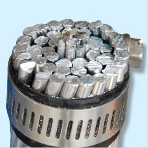 Power Transmission All Aluminum Conductor AAC Poppy Oxlip Tulip Conductor
